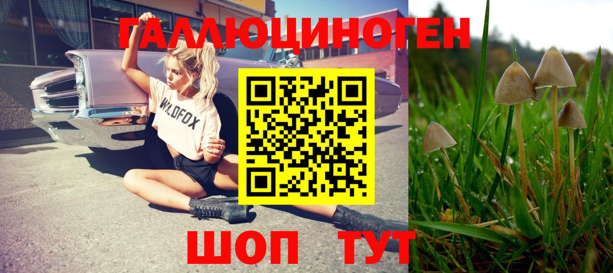 Нальчик  Галлюциногенные грибы Cubensis  Вход с VPN 